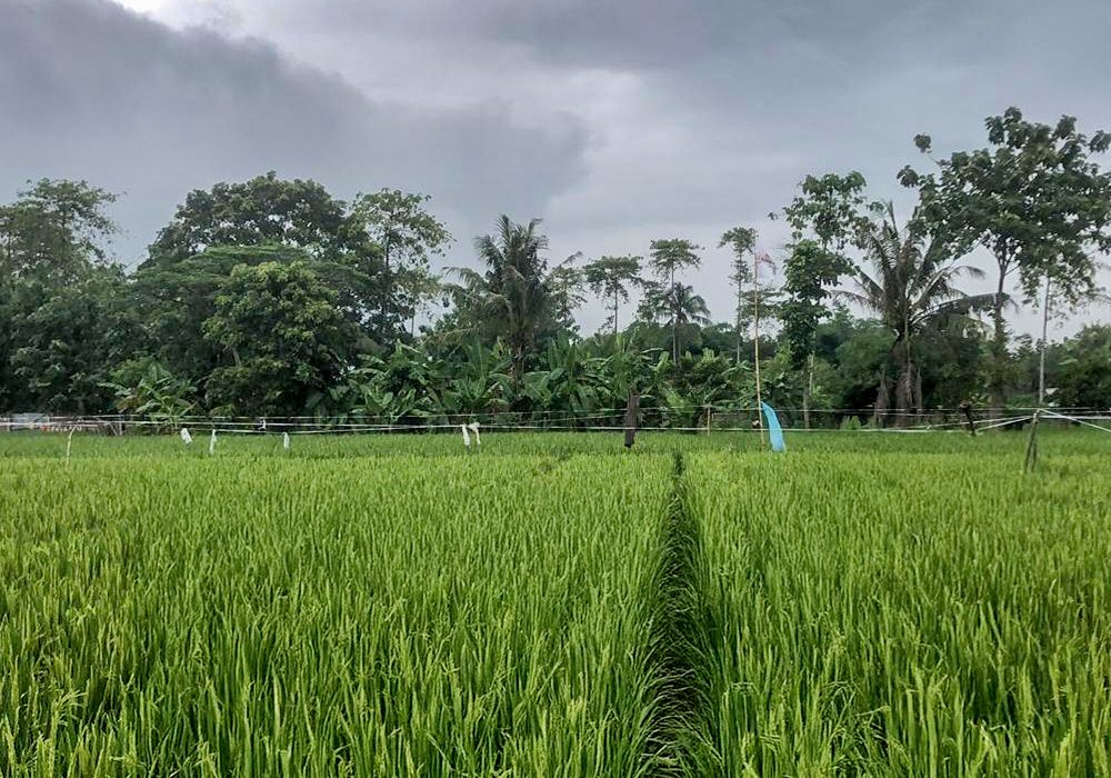 TANAH DI KAB. BOGOR - JTII05-1 - foto utama